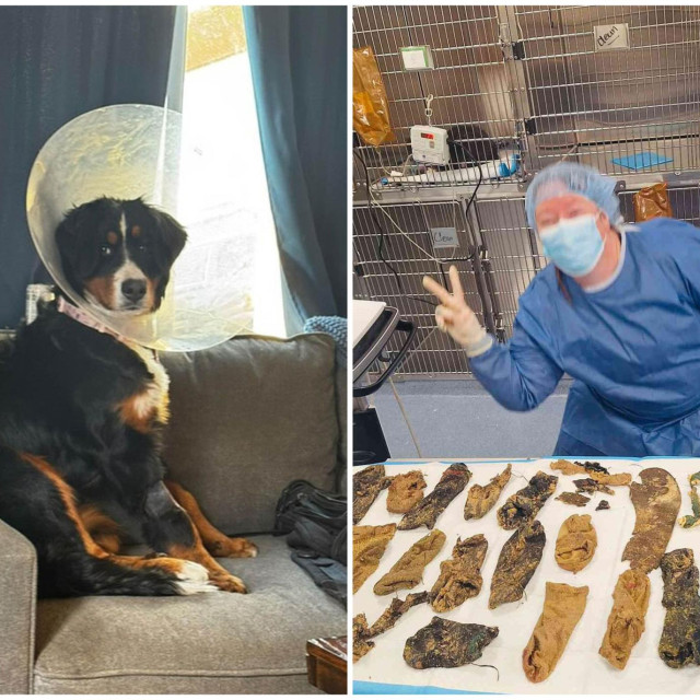 Veterinarka je u 7-mjesečnoj Luni pronašla 24 čarape, 2 gumice za kosu, kombinezon i druge predmete
