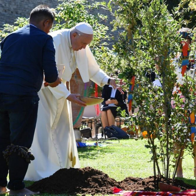 Papa Franjo sadi stablo u vrtovima Vatikana prije Sinode o Amazoniji