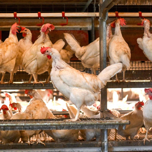 Ilustrativna fotografija