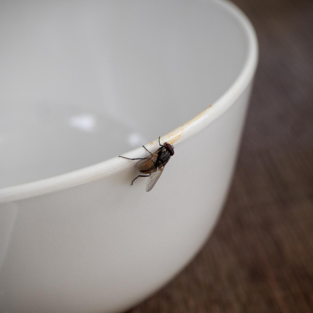 Dolaskom toplijih dana, situacija postaje sve gora