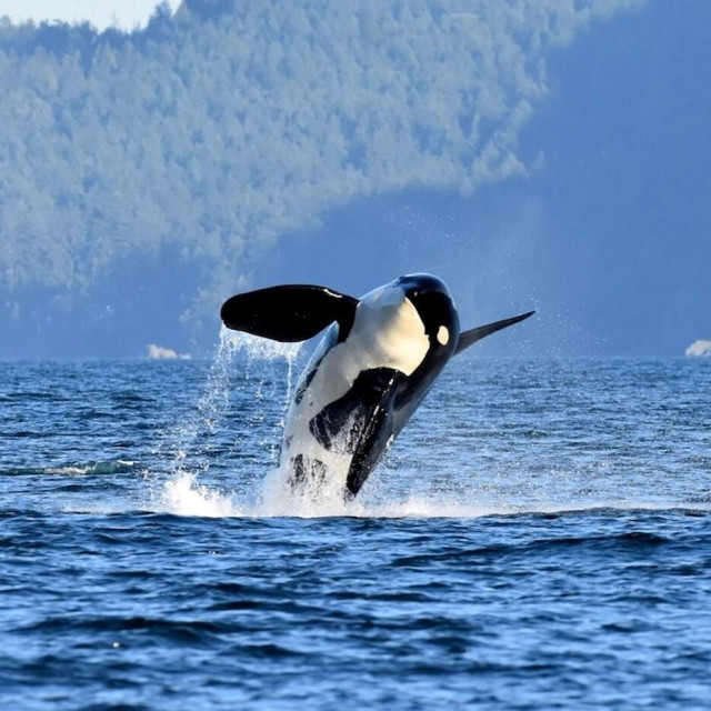 Ilustrativna fotografija