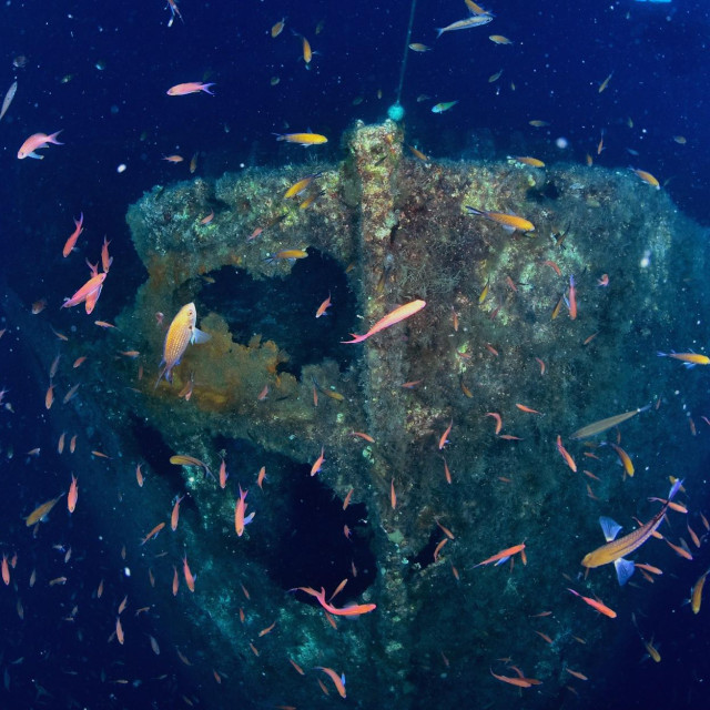 Ilustrativna fotografija