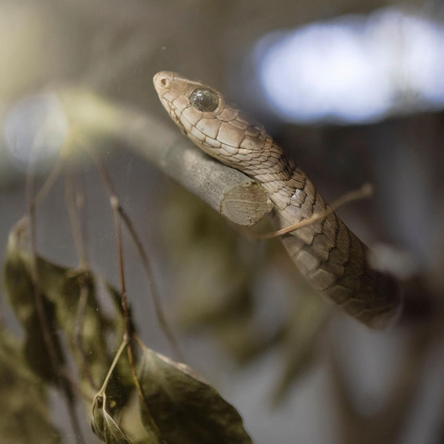 Ilustrativna fotografija