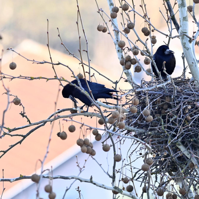 Ilustrativna fotografija