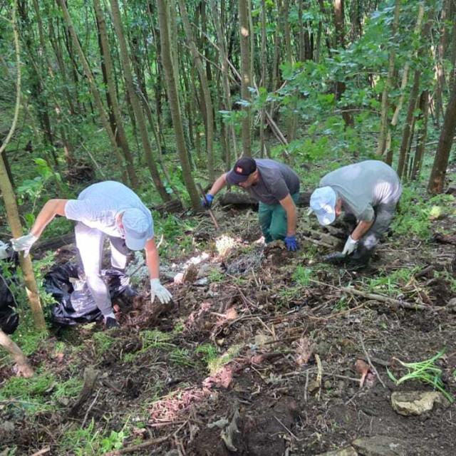 Od izvora do mora u Virovitici