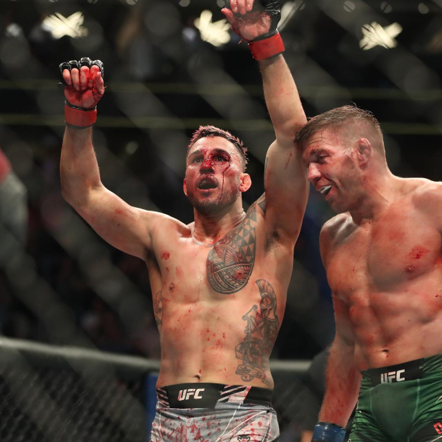 Brad Tavares