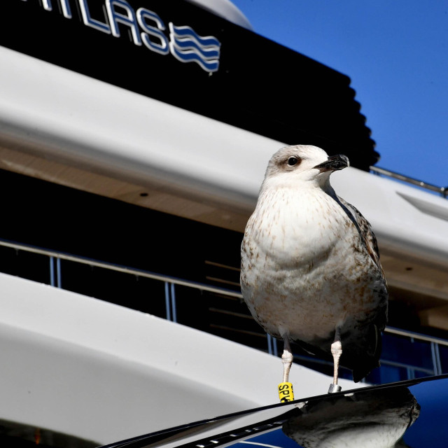 Ilustrativna fotografija