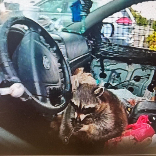 Springfield Township Police Department