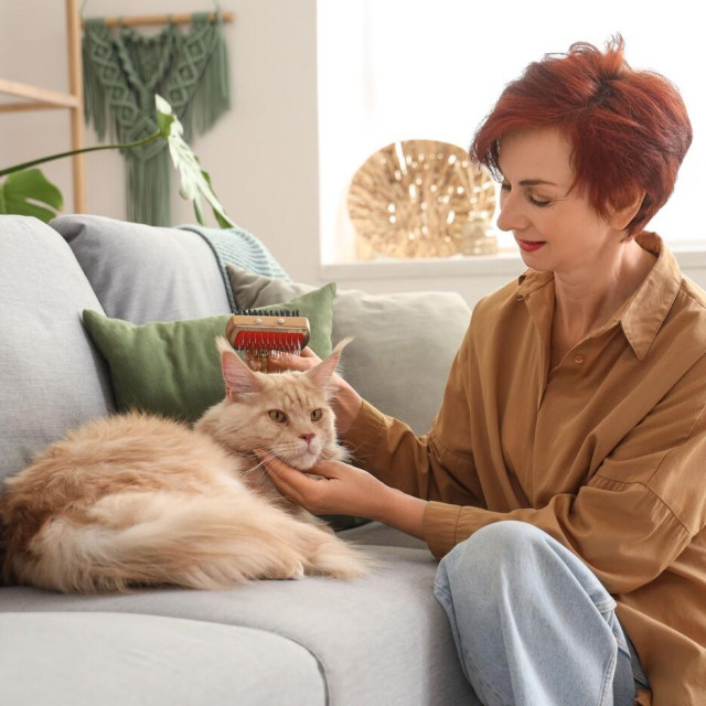 Ilustrativna fotografija