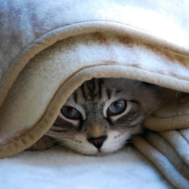 Ilustrativna fotografija