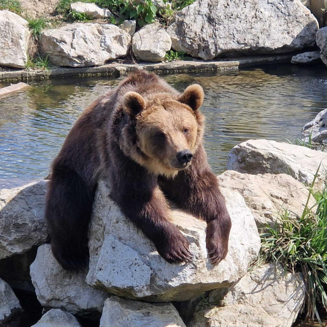 Ilustrativna fotografija