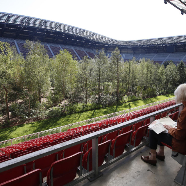 Ova ‘navijačica‘ uživa u miru i tišini, prateći akciju na terenu 