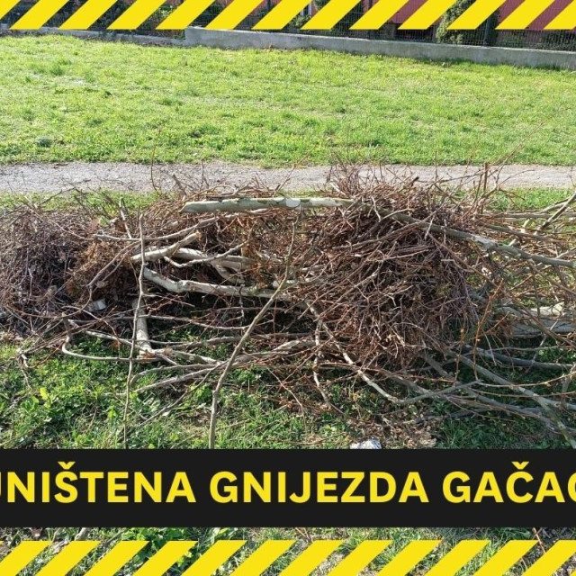 Uništena gnijezda gačaca, ilustrativna fotografija