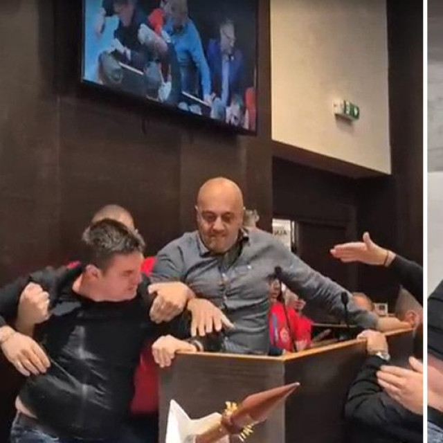 Tučnjava u Skupštini