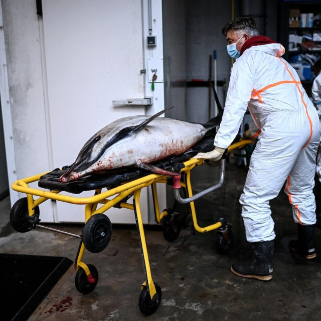 Ilustrativna fotografija