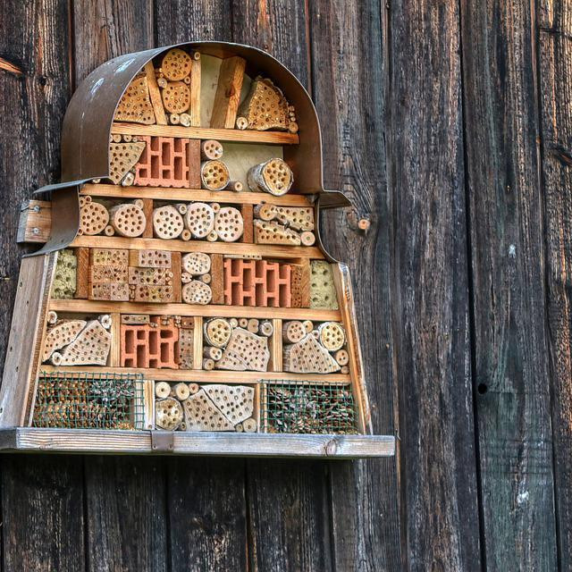 Hotel za oprašivače