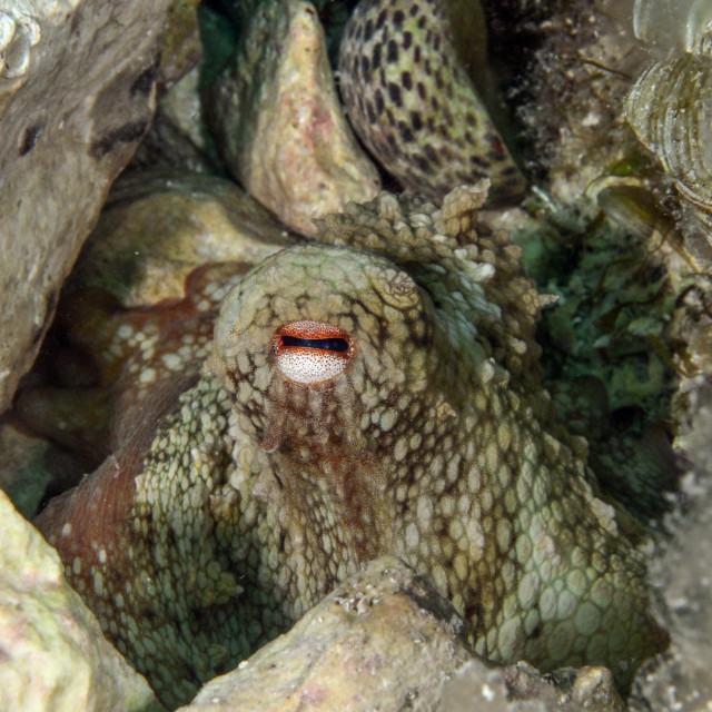 Ilustrativna fotografija