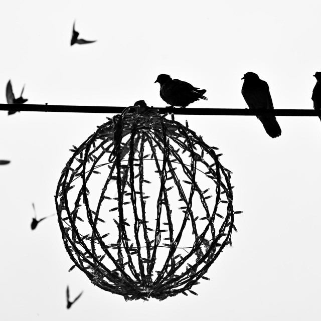 Ilustrativna fotografija