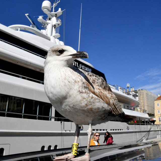 Ilustrativna fotografija