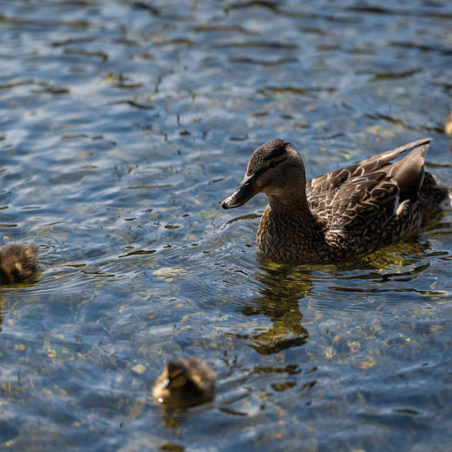 Ilustrativna fotografija