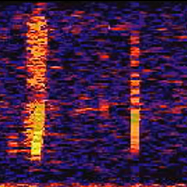 Vizualna reprezentacija tzv. ”Bloopa”