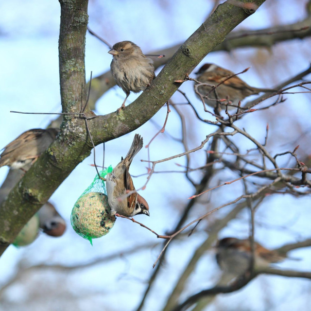 Ilustrativna fotografija



 