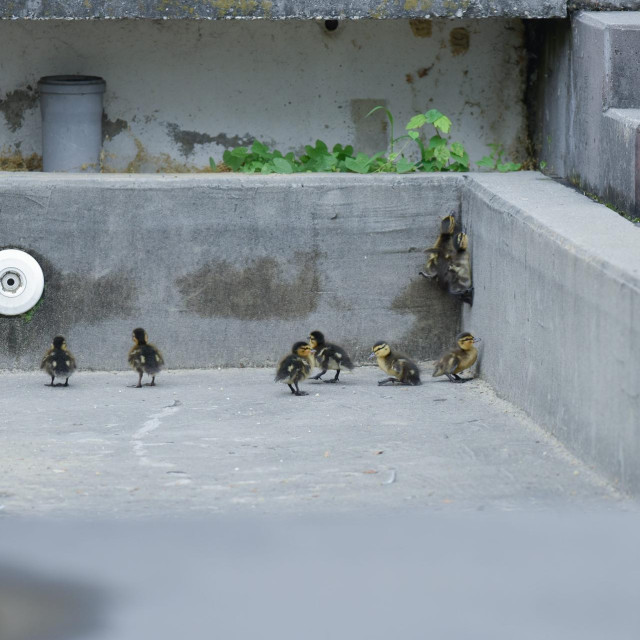 Ilustrativna fotografija