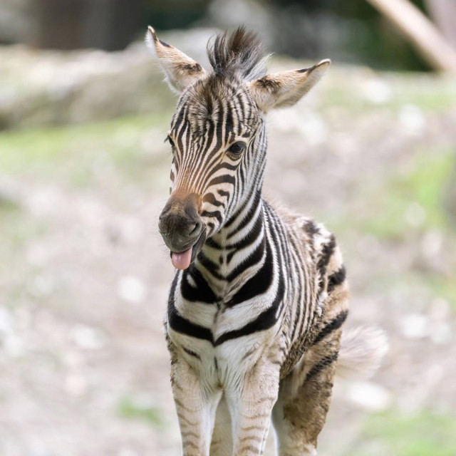 Ilustrativna fotografija