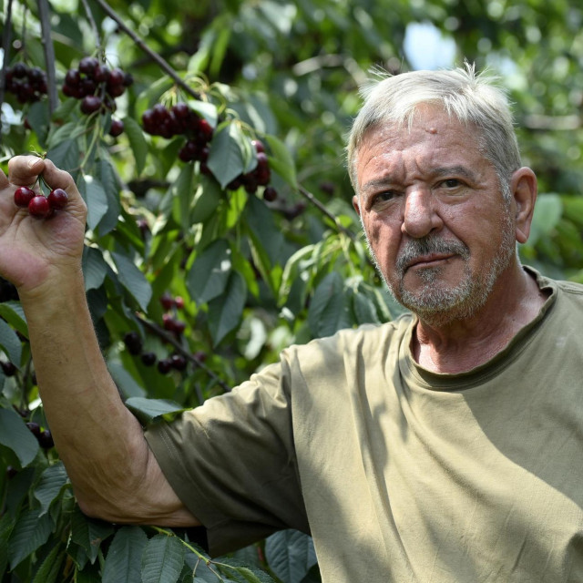 Zlatan Kljaković Gašpić