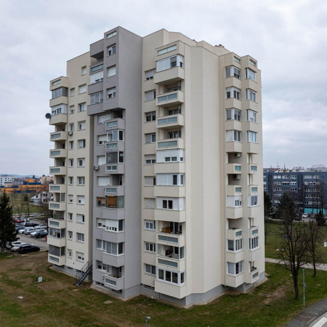 36853614