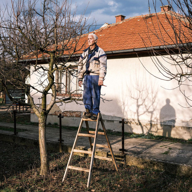 Mitar Simikvic