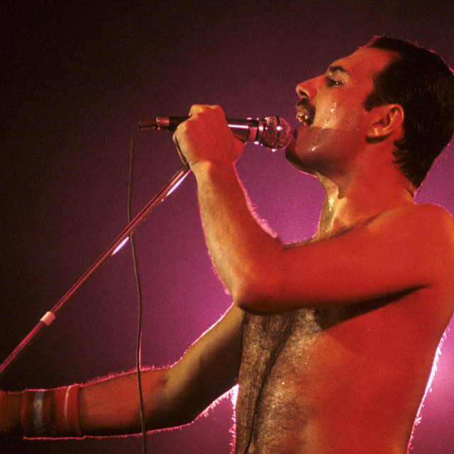 Freddie Mercury