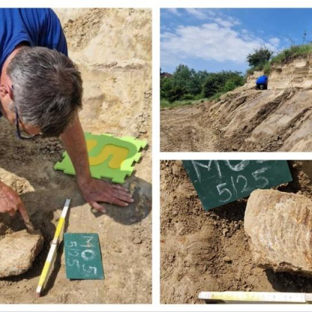 U Dolini mamuta kraj Iloka pronađeni su novi nalazi iz ”ledenog doba”