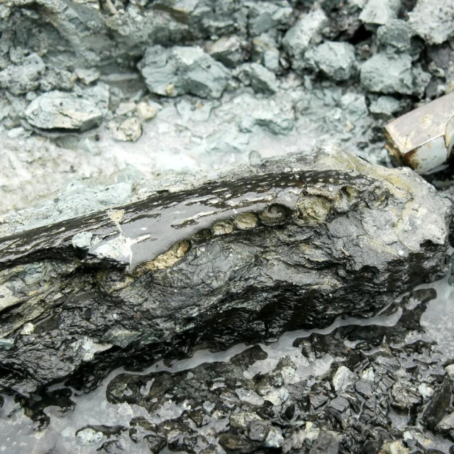 Ilustrativna fotografija