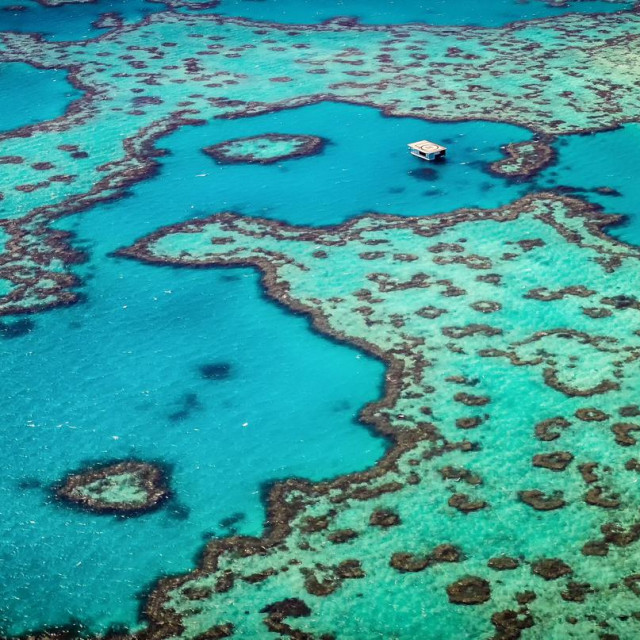 The aerial view of the Great Barrier Reef and the famous heart reef from helicopter