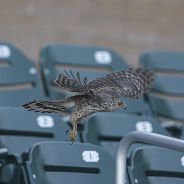 Ilustrativna fotografija