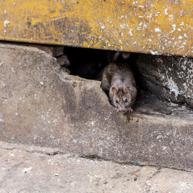 Ilustrativna fotografija