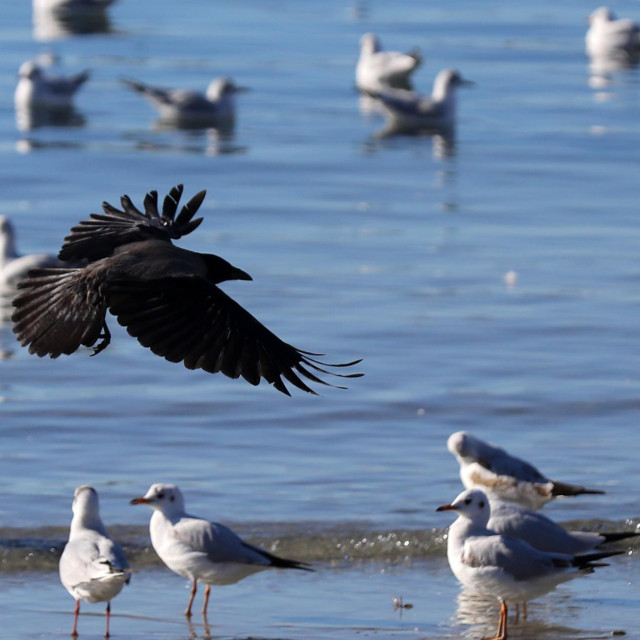 Ilustrativna fotografija