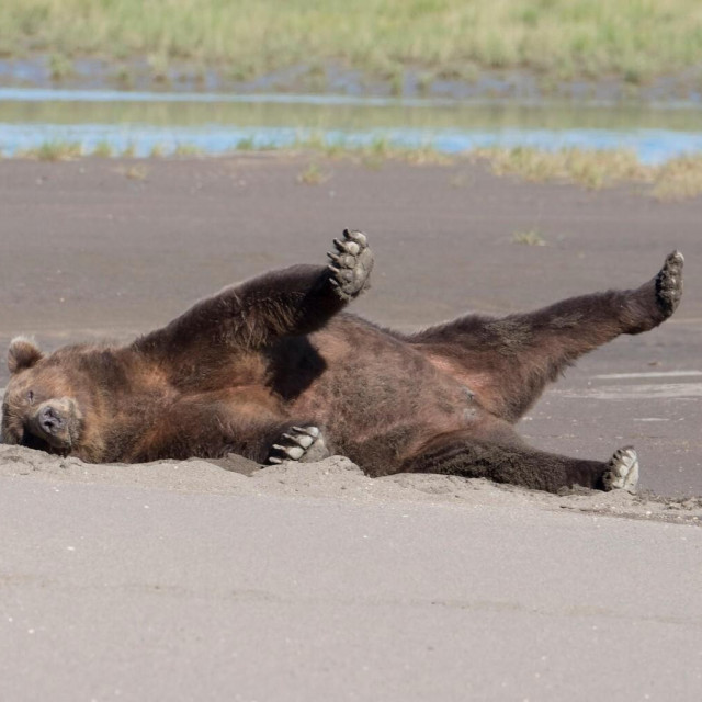 Ilustrativna fotografija