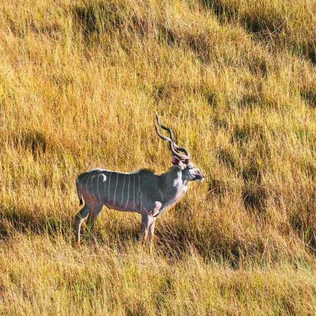 Ilustrativna fotografija