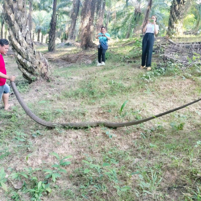 Ilustrativna fotografija