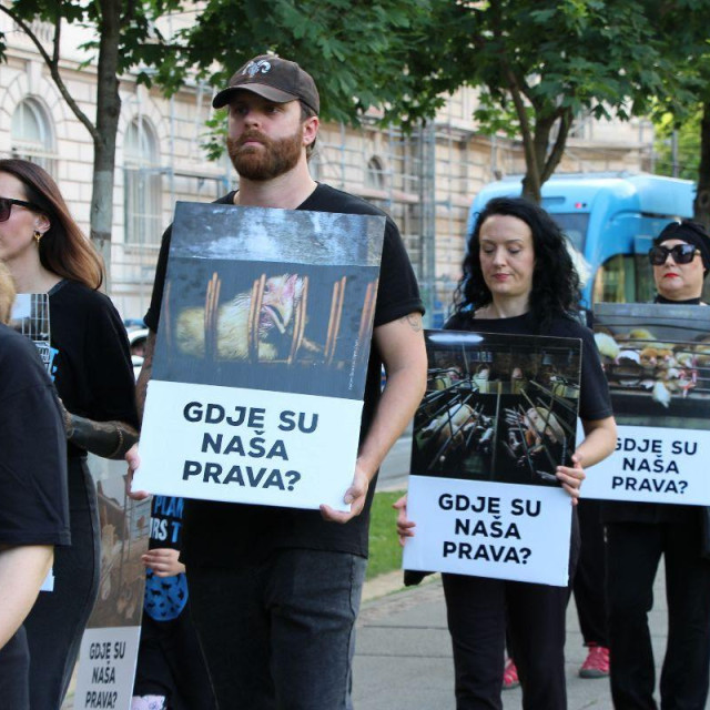 Prijatelji životinja