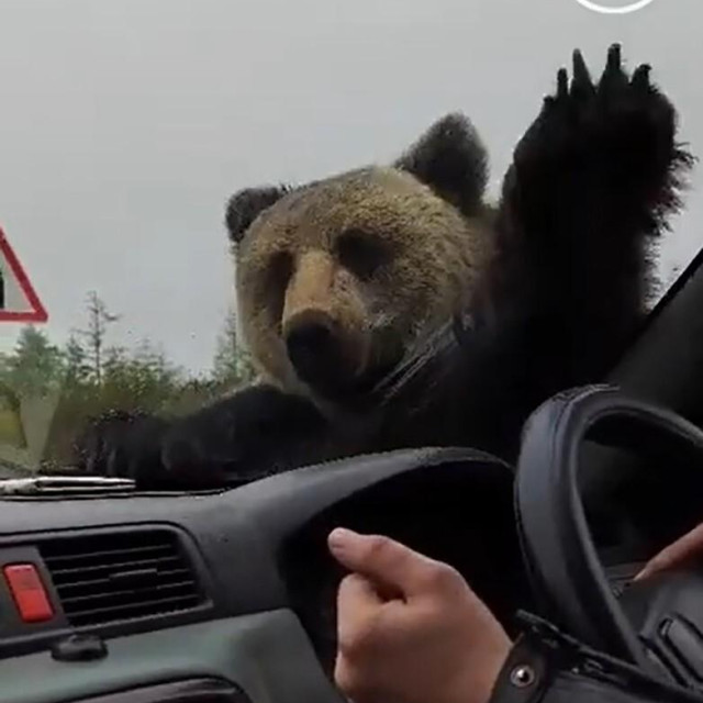 Ilustrativna fotografija