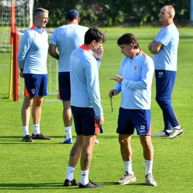Vedran Ćorluka i Zlatko Dalić