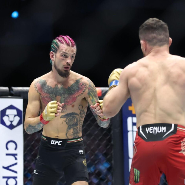Sean O‘Malley vs Merab Dvališvili