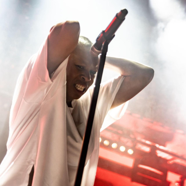 Skunk Anansie
