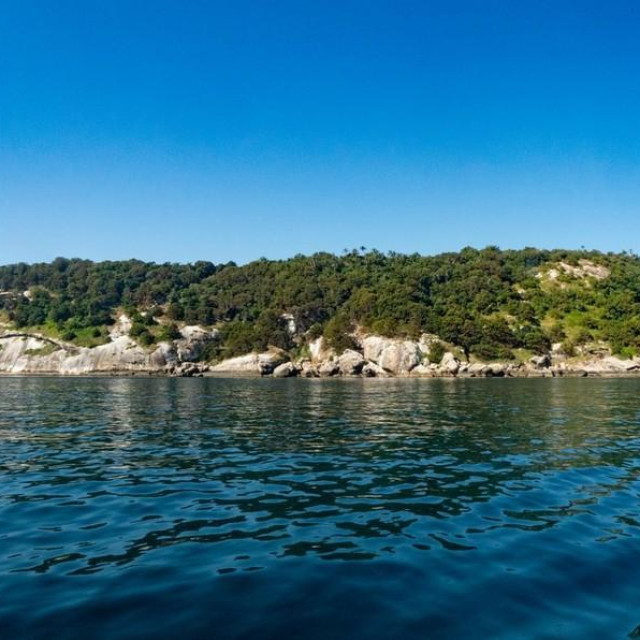 Ilha de Queimada Grande