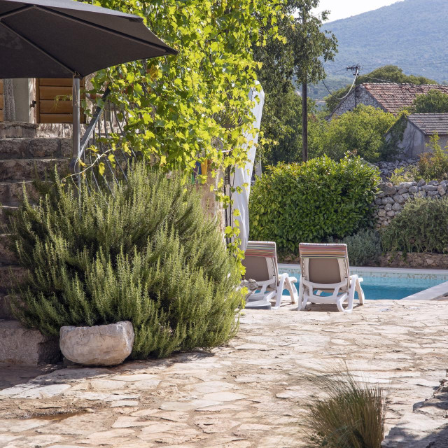 Ilustrativna fotografija