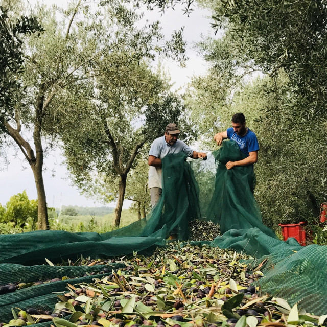 Tata Dušan i Andrea Brečević