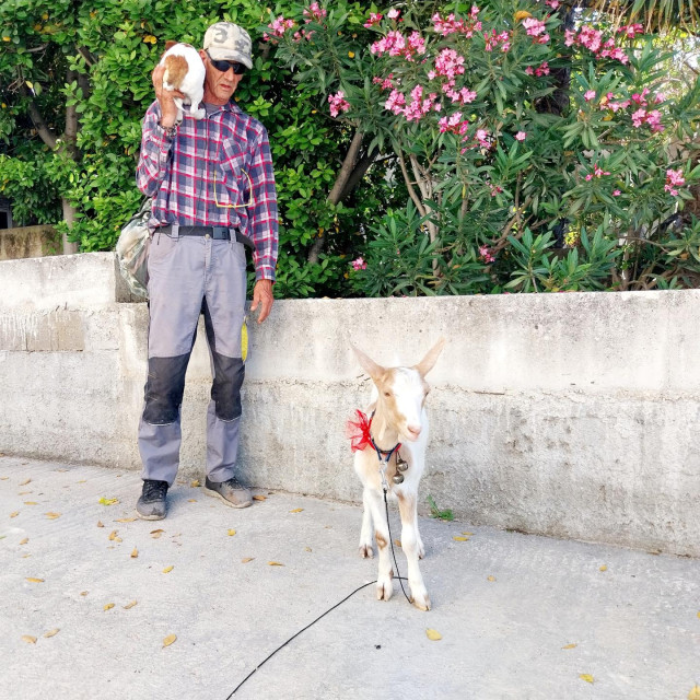 Gaga, Nela i Jure na ramenu